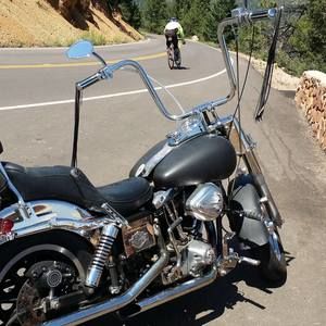 Meet your Posher, Bruce